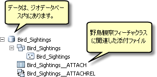 Bird_Sightings フィーチャクラス